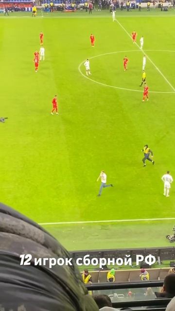 Болельщик выбежал на поле во время игры Россия - Сербия #мелстройврек #мелстройчеллендж смотреть онлайн