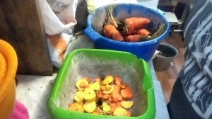 24-12-2025 Опять козы и куры / моё хозяйство / уборка в стайке.