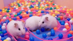 ИИ АНИМАЦИЯ