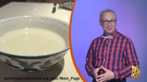 Всё обо всём. Кумыс. Выпуск от 24.12.25