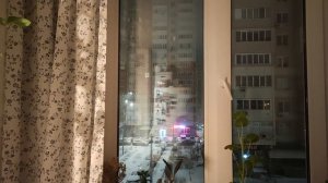 Влог / 23.12.2025 / Уборка, прогулка и сантехника