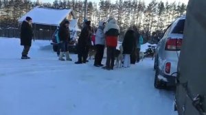 Дрессировка Ижевск совместный отдых зима 2022. Кинолог Игорь Алтайский.