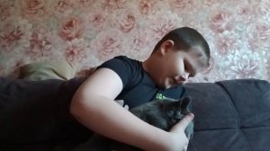 обзор на моего котика😁