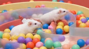 ИИ АНИМАЦИЯ