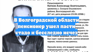 В Волгоградской области пенсионер ушел пасти стадо и бесследно исчез