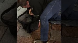 Прохожие обезвредили неадеквата с ножом