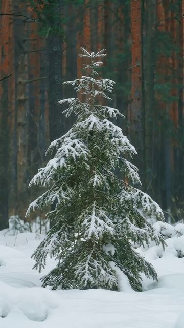 С Наступающим, ВсеИнструменты.ру 🎄🏇 смотреть онлайн