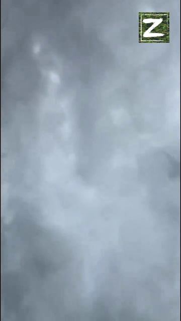 СВО смотреть онлайн