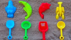 Учим Названия Цветов с Морскими Животными |Развивающий мультик |Учим цвета и цифры| Детские  Песенки