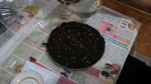 Посадка семян Розы вьющейся, красной