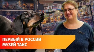 В Уфе открылся первый в России музей такс