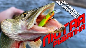 🔴 ТРЭШ! Трофейные ЩУКИ ломают металлические поводки! БЕЗУМНАЯ рыбалка перед ледоставом!🎣💥🔥