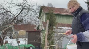 Обрезка яблони, весна 2022