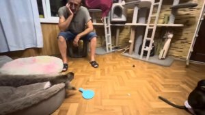 Анфиса, Финик и Мона устроили перед сном вечерний расколбас, так им весело вместе)))