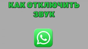 Как отключить звук в Ватсапе