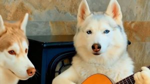 лучшая песня бандита и бублика