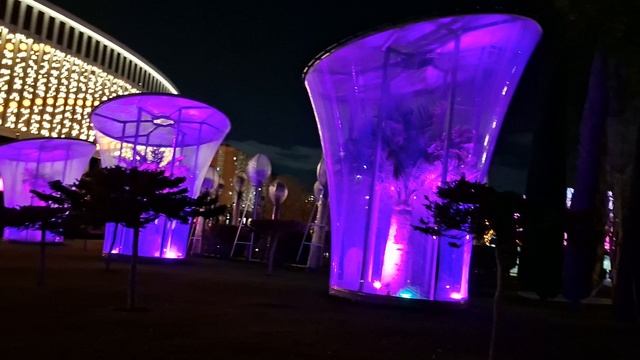 Декабрь 2025, Парк Галицкого смотреть онлайн