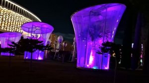 Декабрь 2025, Парк Галицкого