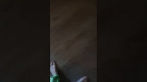 разговор с подписчиками