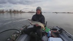 ЭТО СЧАСТЬЕ! Клюёт всё - щука, судак, окунь, жерех, сазан, карась, сом! Рыбалка на спиннинг.