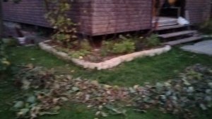 Виноград резала до вечера.