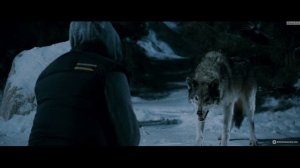 Ильдар Южный – Тайга - закон (Видио)