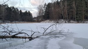 Вести с водоёма 23.12.2025