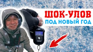 305 ГРАММ Чистой РАДОСТИ! Кто ОКАЗАЛСЯ На КРЮЧКЕ в Декабре?! #мормышинг #рыбалка #fishing