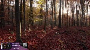 Осеннее солнце