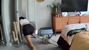 Невероятные Вещи, Снятые на Камеру!