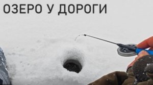 Первый лёд на Глухом. Окунь под берегами. Безмотылка лучше. Зимняя рыбалка 2025