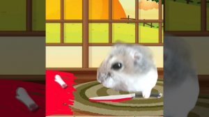 хома чипичипи чапачапа