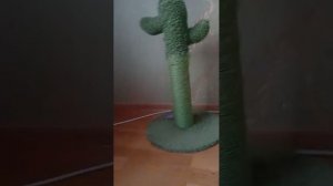 говорю о будущем канала