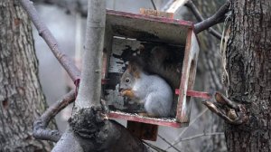 Народные приметы на 24 декабря: что можно и нельзя делать