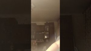 распаковка лабубу