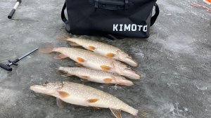 Рыбалка, на новой локации✅, ловля щуки на жерлицы 🔥🎣🐟🔥