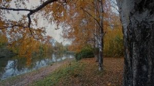 Напишу-ка я поэму - стихи Виктора Левашова, Ярославль.