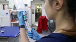 Пришлось ампутировать хвост: питомца певицы Ляльки травмировали в груминг-салоне