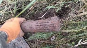 35. Металлокоп с Quest X5. Поиск по обочинам.