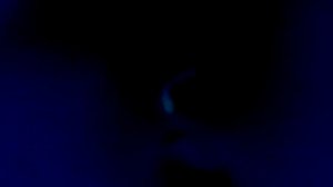 Изображение 052.mp4