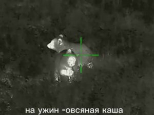 медведи-ужин