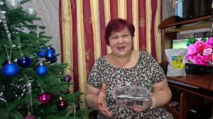 ЭУСТОМА - цветок для терпеливых! Ошибки при выращивании Эустомы!!