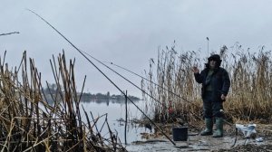 То мороз ,то оттепель.Льда нет ,ловим на фидер.