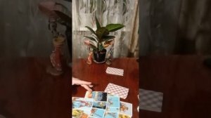 Таро.Что будет происходить с вами в ближайшее время/ 1 и 2 вариант/.