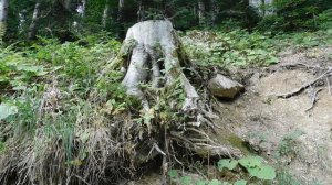 ВИДЕО  ПВН  ББ   (1622)