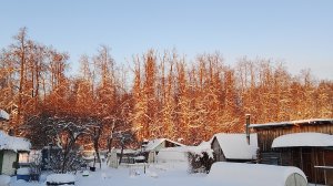 Дачный стрим 24.12.25