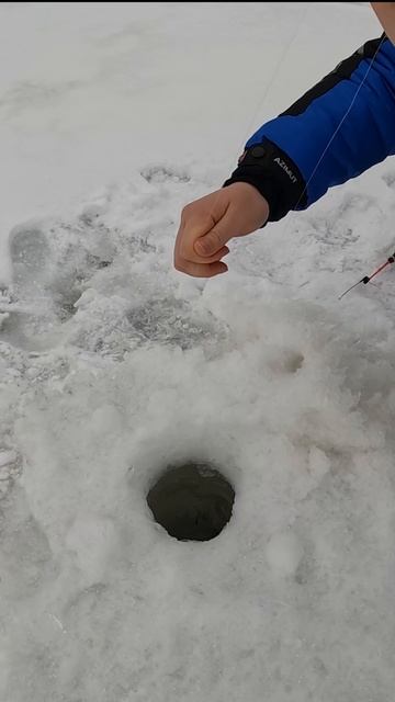 У ДЕВЧЁНОК ВСЕГДА КЛЮЁТ смотреть онлайн