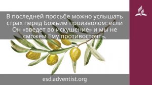 24 декабря 2025. Избавь нас от лукавого. Под сенью благодати | Адвентисты