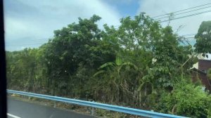 На автобусе через остров Хайнань. Китай. Джунгли. Пальмы. Плантации. Жизнь острова. Заселяемся.