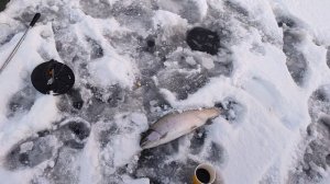 Основной водоём. На пасту.